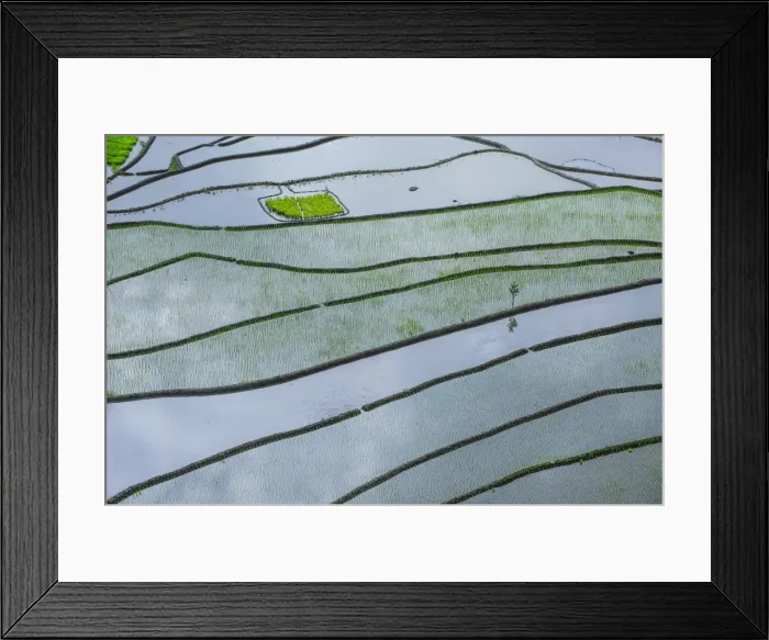 Framed Print : The rice terraces of Banaue, UNESCO World Heritage Site, Northern Luzon, Philippines, Southeast Asia, Asia Framed Print : The rice terraces of Banaue, UNESCO World Heritage Site, Northern Luzon, Philippines, Southeast Asia, Asia