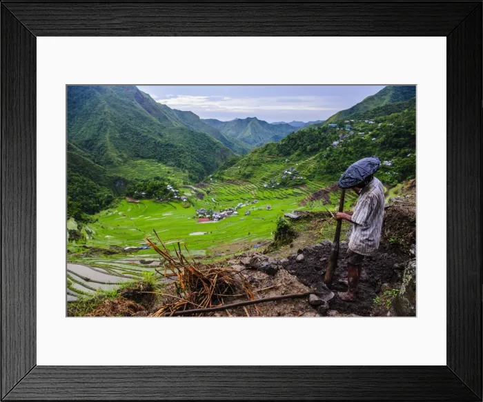 Framed Print : Man working in the Batad rice terraces, part of the UNESCO World Heritage Site of Banaue, Luzon, Philippines, Southeast Asia, Asia Framed Print : Man working in the Batad rice terraces, part of the UNESCO World Heritage Site of Banaue, Luzon, Philippines, Southeast Asia, Asia