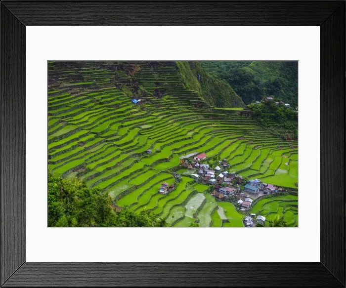 Framed Print : Batad rice terraces, part of the UNESCO World Heritage Site of Banaue, Luzon, Philippines, Southeast Asia, Asia Framed Print : Batad rice terraces, part of the UNESCO World Heritage Site of Banaue, Luzon, Philippines, Southeast Asia, Asia