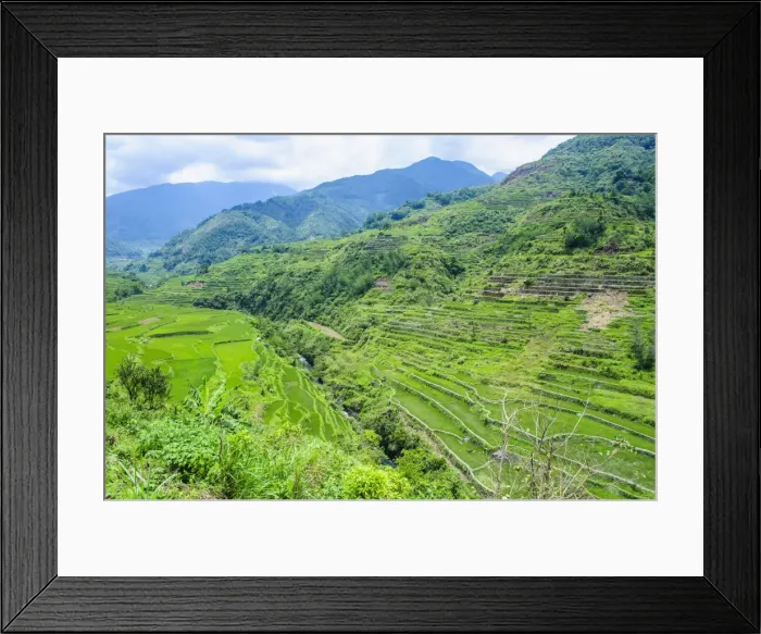 Framed Print : Hapao rice terraces, Banaue, UNESCO World Heritage Site, Luzon, Philippines, Southeast Asia, Asia Framed Print : Hapao rice terraces, Banaue, UNESCO World Heritage Site, Luzon, Philippines, Southeast Asia, Asia