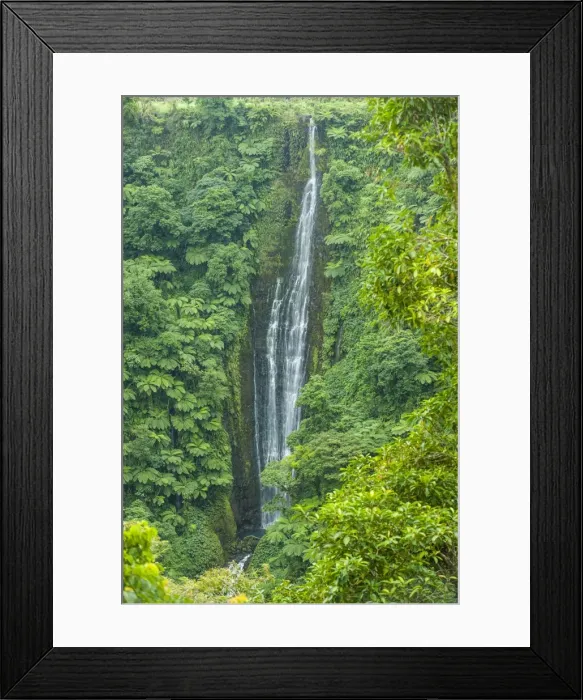 Framed Print : Papapapai-Tai Falls, Upolu, Samoa, South Pacific, Pacific Framed Print : Papapapai-Tai Falls, Upolu, Samoa, South Pacific, Pacific