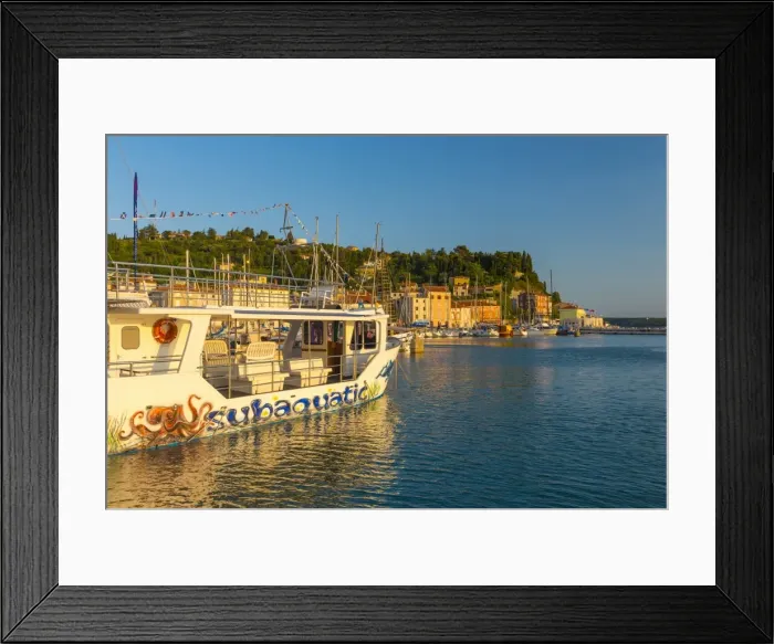Framed Print : Tourist sightseeing boat, Old Town Harbour, Piran, Primorska, Slovenian Istria, Slovenia, Europe Framed Print : Tourist sightseeing boat, Old Town Harbour, Piran, Primorska, Slovenian Istria, Slovenia, Europe