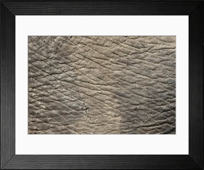 Framed Print : Elephant (Loxodonta africana) skin, Addo Elephant National Park, South Africa, Africa Framed Print : Elephant (Loxodonta africana) skin, Addo Elephant National Park, South Africa, Africa