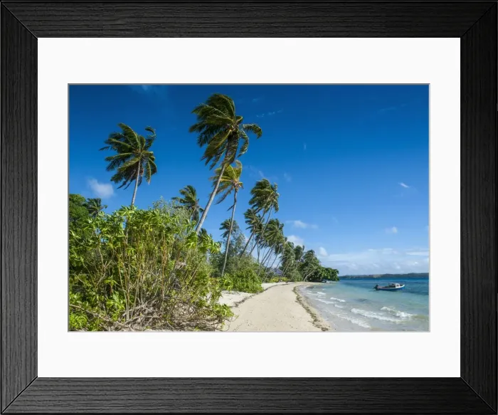 Framed Print : Palm fringed white sand beach on an islet of Vavau, Vavau Islands, Tonga, South Pacific, Pacific Framed Print : Palm fringed white sand beach on an islet of Vavau, Vavau Islands, Tonga, South Pacific, Pacific