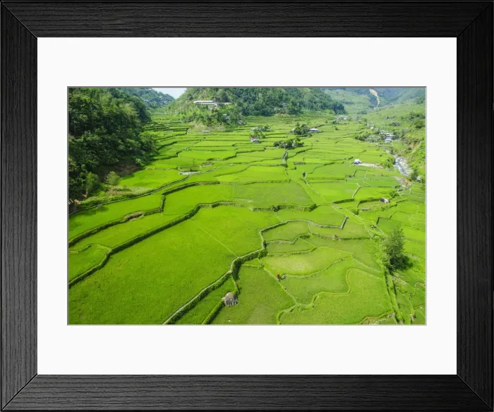 Framed Print : Hapao rice terraces, Banaue, UNESCO World Heritage Site, Luzon, Philippines, Southeast Asia, Asia Framed Print : Hapao rice terraces, Banaue, UNESCO World Heritage Site, Luzon, Philippines, Southeast Asia, Asia