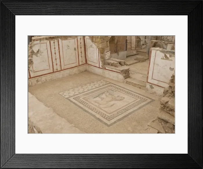 Framed Print : Lion mosaic, murals and frescoes in a Terrace House, Curetes Street, Ephesus, near Kusadasi, Anatolia, Turkey, Asia Minor, Eurasia Framed Print : Lion mosaic, murals and frescoes in a Terrace House, Curetes Street, Ephesus, near Kusadasi, Anatolia, Turkey, Asia Minor, Eurasia