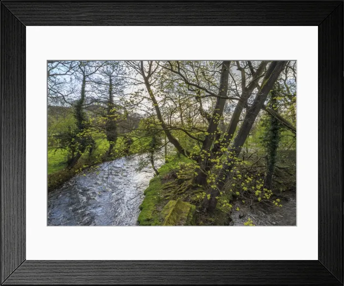 Framed Print : River Wye, trees and Peak Tor in spring, Rowsley, Derbyshire, England, United Kingdom, Europe Framed Print : River Wye, trees and Peak Tor in spring, Rowsley, Derbyshire, England, United Kingdom, Europe