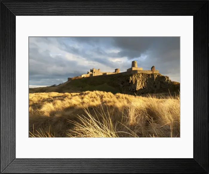 Framed Print : Bamburgh Castle and dune marram grass bathed in golden evening light, Bamburgh, Northumberland, England, United Kingdom, Europe Framed Print : Bamburgh Castle and dune marram grass bathed in golden evening light, Bamburgh, Northumberland, England, United Kingdom, Europe