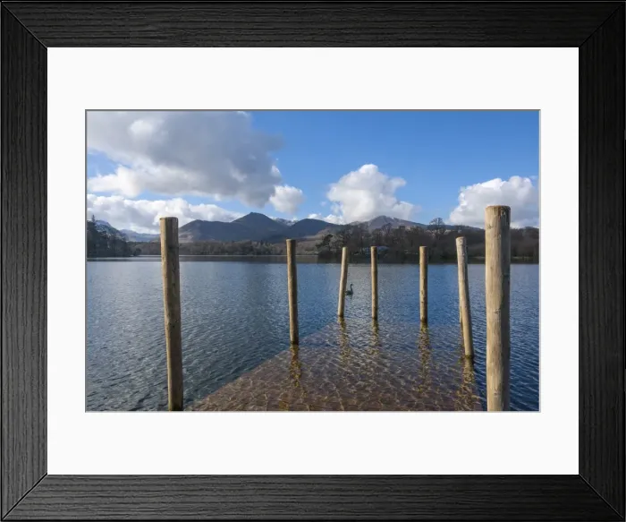 Framed Print : Lake Derwentwater and the northern fells, view from the boat landings at Keswick, North Lakeland, Lake District National Park, Keswick, Cumbria, England, United Kingdom, Europe Framed Print : Lake Derwentwater and the northern fells, view from the boat landings at Keswick, North Lakeland, Lake District National Park, Keswick, Cumbria, England, United Kingdom, Europe