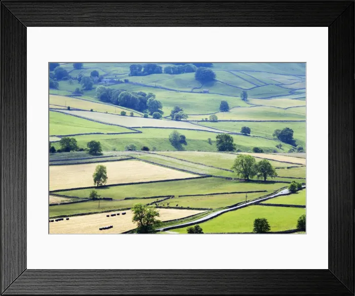 Framed Print : Meadows in Wharfedale from Edge Top near Hebden, Yorkshire Dales, Yorkshire, England, United Kingdom, Europe Framed Print : Meadows in Wharfedale from Edge Top near Hebden, Yorkshire Dales, Yorkshire, England, United Kingdom, Europe