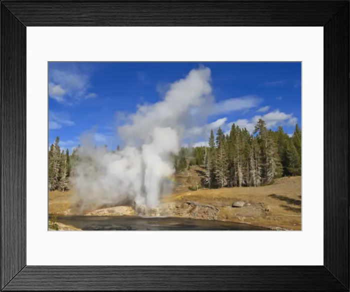 Framed Print : Eruption of Riverside Geyser, Firehole River, Upper Geyser Basin, Yellowstone National Park, UNESCO World Heritage Site, Wyoming, United States of America, North America Framed Print : Eruption of Riverside Geyser, Firehole River, Upper Geyser Basin, Yellowstone National Park, UNESCO World Heritage Site, Wyoming, United States of America, North America