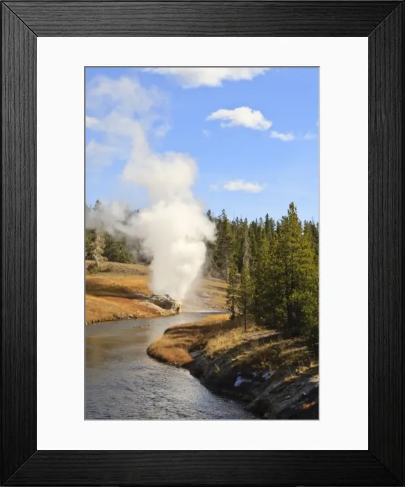 Framed Print : Eruption of Riverside Geyser seen from Firehole River bridge, Upper Geyser Basin, Yellowstone National Park, UNESCO World Heritage Site, Wyoming, United States of America, North America Framed Print : Eruption of Riverside Geyser seen from Firehole River bridge, Upper Geyser Basin, Yellowstone National Park, UNESCO World Heritage Site, Wyoming, United States of America, North America