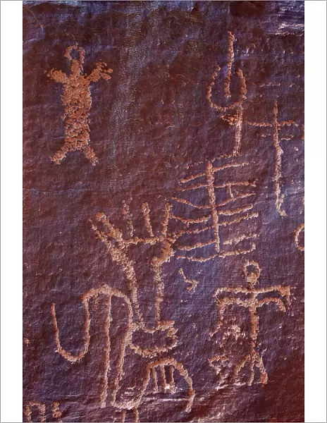 Petroglypys, Gold Butte, Nevada, United States of America, North America