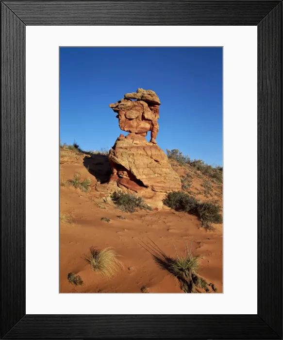 Framed Print : Sandstone formation, Coyote Buttes Wilderness, Vermilion Cliffs National Monument, Arizona, United States of America, North America Framed Print : Sandstone formation, Coyote Buttes Wilderness, Vermilion Cliffs National Monument, Arizona, United States of America, North America