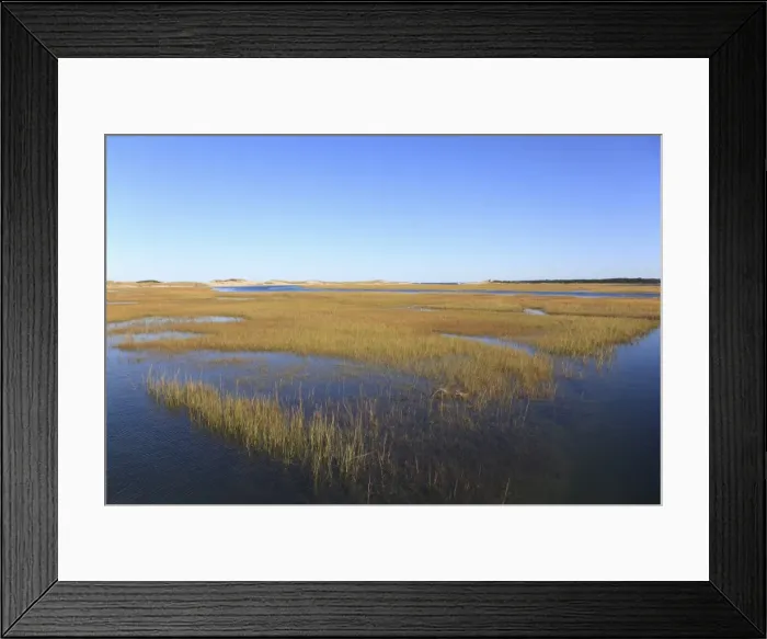 Framed Print : Salt Marsh, Sandwich, Cape Cod, Massachusetts, New England, United States of America, North America Framed Print : Salt Marsh, Sandwich, Cape Cod, Massachusetts, New England, United States of America, North America