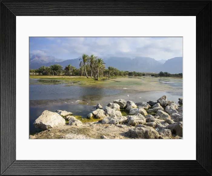 Framed Print : Swamps outside of Hadibo, capital of the island of Socotra, UNESCO World Heritage Site, Yemen, Middle East Framed Print : Swamps outside of Hadibo, capital of the island of Socotra, UNESCO World Heritage Site, Yemen, Middle East