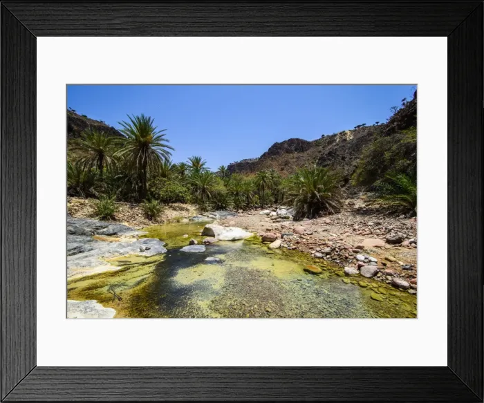 Framed Print : Very green pond in a valley in the Dixsam plateau on the island of Socotra, UNESCO World Heritage Site, Yemen, Middle East Framed Print : Very green pond in a valley in the Dixsam plateau on the island of Socotra, UNESCO World Heritage Site, Yemen, Middle East