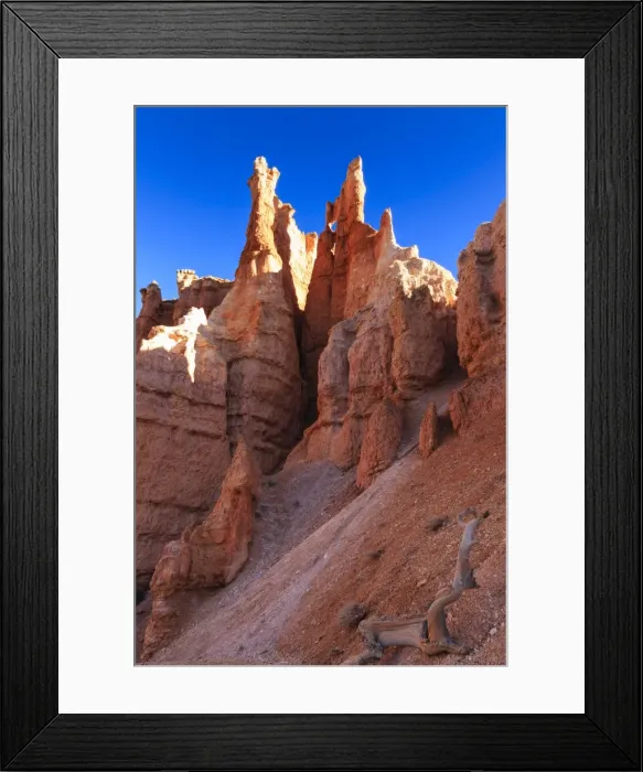 Framed Print : Hoodoos backlit by winter early morning sun, Queens Garden Trail, Bryce Canyon National Park, Utah, United States of America, North America Framed Print : Hoodoos backlit by winter early morning sun, Queens Garden Trail, Bryce Canyon National Park, Utah, United States of America, North America