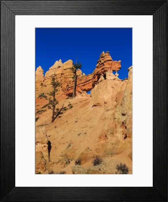 Framed Print : Dragon-shaped rock lit by late afternoon sun, winter, Mossy Cave Trail, Bryce Canyon National Park, Utah, USA Framed Print : Dragon-shaped rock lit by late afternoon sun, winter, Mossy Cave Trail, Bryce Canyon National Park, Utah, USA