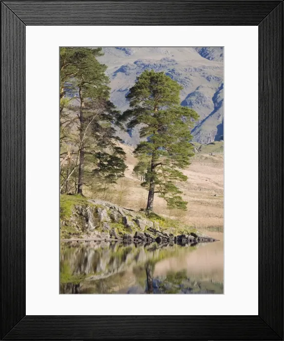 Framed Print : Early morning reflections, Blea Tarn, above Little Langdale, Lake District National Park, Cumbria, England, United Kingdom, Europe Framed Print : Early morning reflections, Blea Tarn, above Little Langdale, Lake District National Park, Cumbria, England, United Kingdom, Europe
