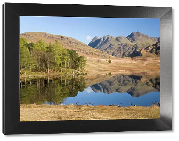 The Langdale Pikes reflected in Blea Tarn, above Little Langdale, Lake District National Park, Cumbria, England, United Kingdom, Europe
