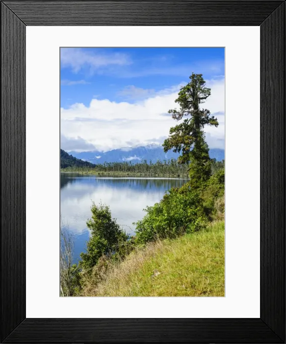 Framed Print : Okarito lagoon, large unmodified wetland along the road between Fox Glacier and Greymouth, South Island, New Zealand, Pacific Framed Print : Okarito lagoon, large unmodified wetland along the road between Fox Glacier and Greymouth, South Island, New Zealand, Pacific