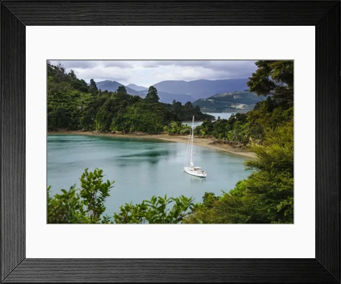 Framed Print : Sailing boat in the Marlborough Sounds, South Island, New Zealand, Pacific Framed Print : Sailing boat in the Marlborough Sounds, South Island, New Zealand, Pacific