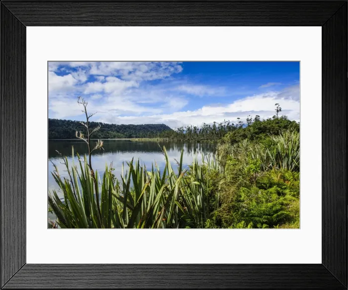Framed Print : Okarito lagoon, large unmodified wetland along the road between Fox Glacier and Greymouth, South Island, New Zealand, Pacific Framed Print : Okarito lagoon, large unmodified wetland along the road between Fox Glacier and Greymouth, South Island, New Zealand, Pacific