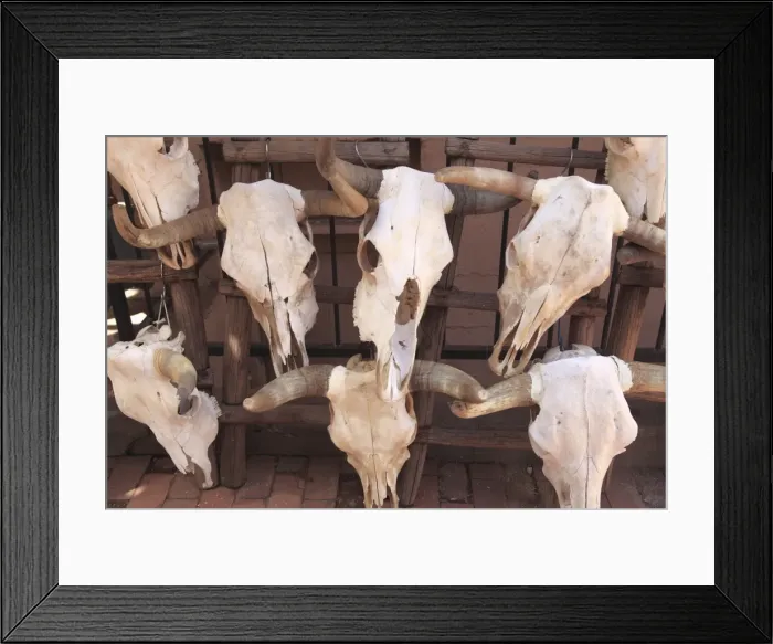 Framed Print : Steer skulls for sale, Santa Fe, New Mexico, United States of America, North America Framed Print : Steer skulls for sale, Santa Fe, New Mexico, United States of America, North America