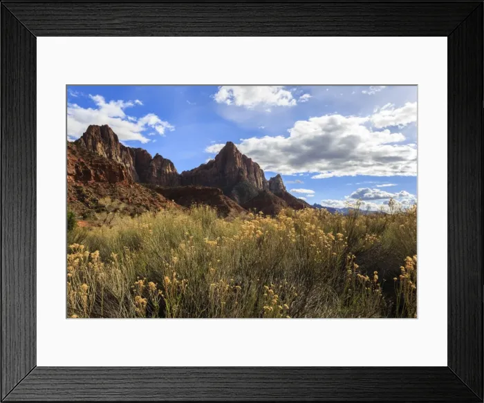 Framed Print : Desert brush and the Watchman in winter, Zion Canyon, Zion National Park, Utah, United States of America, North America Framed Print : Desert brush and the Watchman in winter, Zion Canyon, Zion National Park, Utah, United States of America, North America