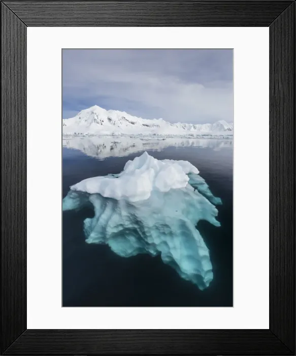 Framed Print : Glacial ice floating in the Neumayer Channel near Wiencke Island, Antarctica, Polar Regions Framed Print : Glacial ice floating in the Neumayer Channel near Wiencke Island, Antarctica, Polar Regions