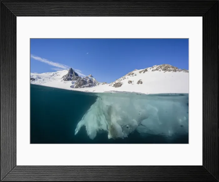 Framed Print : Above and below view of glacial ice in Orne Harbor, Antarctica, Polar Regions Framed Print : Above and below view of glacial ice in Orne Harbor, Antarctica, Polar Regions