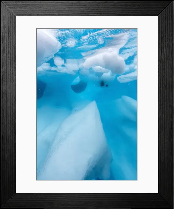 Framed Print : Underwater view of glacial ice in Orne Harbor, Antarctica, Polar Regions Framed Print : Underwater view of glacial ice in Orne Harbor, Antarctica, Polar Regions