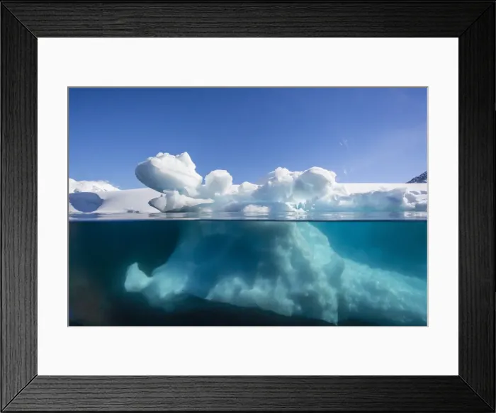 Framed Print : Above and below view of glacial ice near Port Lockroy, Antarctica, Polar Regions Framed Print : Above and below view of glacial ice near Port Lockroy, Antarctica, Polar Regions