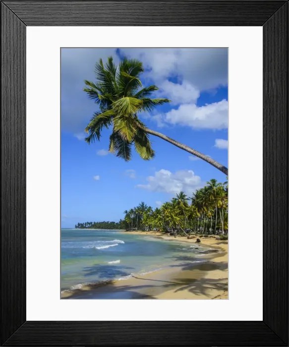 Framed Print : Casa Blanca Beach, Las Terrenas, Dominican Republic, West Indies, Caribbean, Central America Framed Print : Casa Blanca Beach, Las Terrenas, Dominican Republic, West Indies, Caribbean, Central America