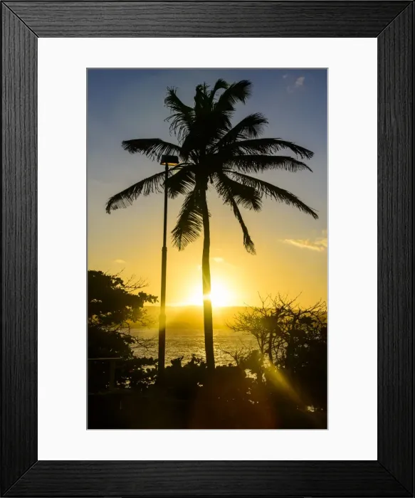 Framed Print : Backlit palm tree in the Fortress of Fortaleza San Felipe, Puerto Plata, Dominican Republic, West Indies, Caribbean, Central America Framed Print : Backlit palm tree in the Fortress of Fortaleza San Felipe, Puerto Plata, Dominican Republic, West Indies, Caribbean, Central America