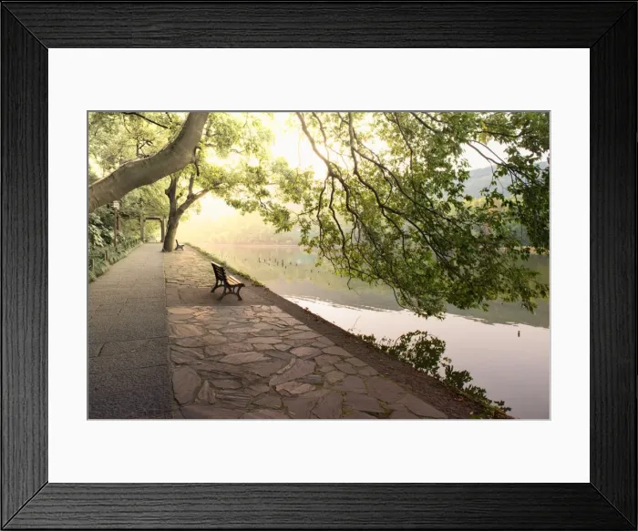 Framed Print : Bench under tree canopy at West Lake shore in Hangzhou, Zhejiang, China, Asia Framed Print : Bench under tree canopy at West Lake shore in Hangzhou, Zhejiang, China, Asia