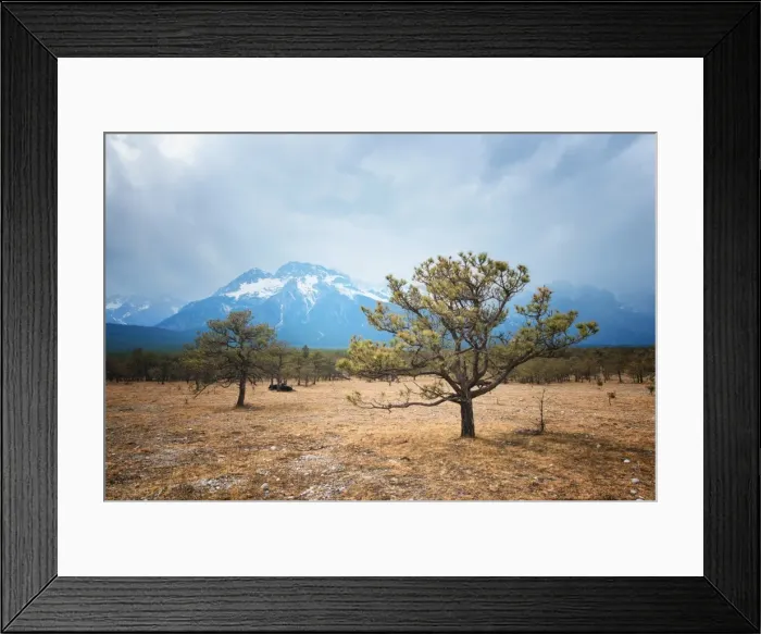 Framed Print : Yunnan landscape with Jade Dragon Snow Mountain, trees and yaks, Lijiang, Yunnan, China, Asia Framed Print : Yunnan landscape with Jade Dragon Snow Mountain, trees and yaks, Lijiang, Yunnan, China, Asia