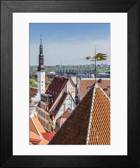 Framed Print : Aerial view of the walled part of Old Town, UNESCO World Heritage Site, in the capital city of Tallinn, Estonia, Europe Framed Print : Aerial view of the walled part of Old Town, UNESCO World Heritage Site, in the capital city of Tallinn, Estonia, Europe