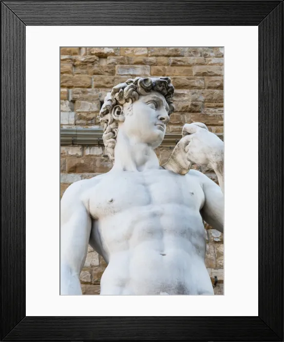 Framed Print : David by Michelangelo dating from the 16th century, Piazza della Signoria, Florence (Firenze), UNESCO World Heritage Site, Tuscany, Italy, Europe Framed Print : David by Michelangelo dating from the 16th century, Piazza della Signoria, Florence (Firenze), UNESCO World Heritage Site, Tuscany, Italy, Europe