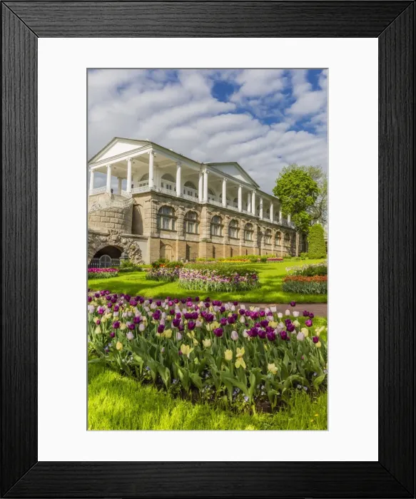 Framed Print : View of the Cameron Gallery at the Catherine Palace, Tsarskoe Selo, St. Petersburg, Russia, Europe Framed Print : View of the Cameron Gallery at the Catherine Palace, Tsarskoe Selo, St. Petersburg, Russia, Europe
