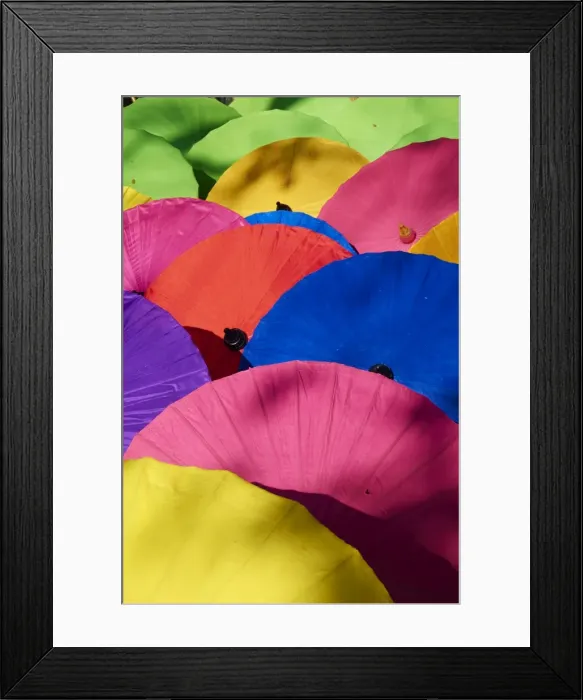 Framed Print : Umbrellas at Borsang Handicraft Village, Chiang Mai, Thailand, Southeast Asia, Asia Framed Print : Umbrellas at Borsang Handicraft Village, Chiang Mai, Thailand, Southeast Asia, Asia