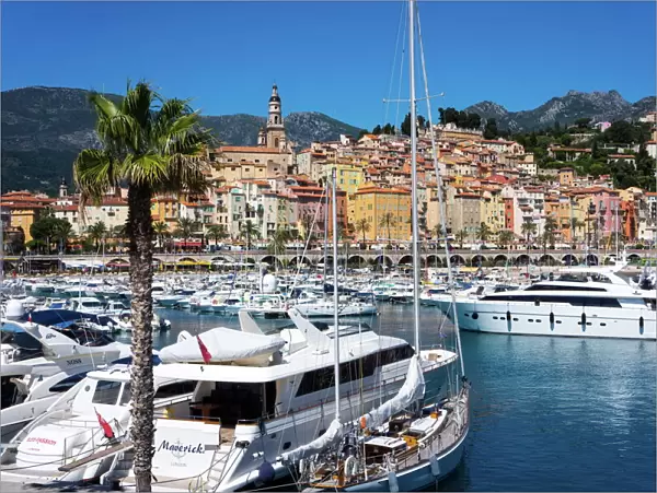 Old Town and Marina, Menton, Cote d Azur, French Riviera, Provence, France, Mediterranean, Europe