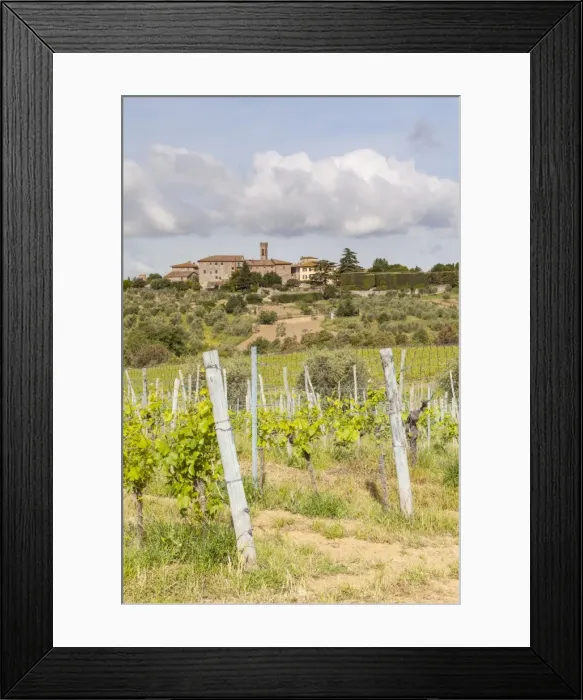 Framed Print : Vineyards near to Villa a Sesta, Chianti, Tuscany, Italy, Europe Framed Print : Vineyards near to Villa a Sesta, Chianti, Tuscany, Italy, Europe