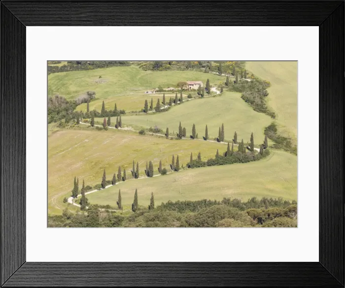 Framed Print : Cypress trees line a winding road in the Val d Orcia, UNESCO World Heritage Site, Tuscany, Italy, Europe Framed Print : Cypress trees line a winding road in the Val d Orcia, UNESCO World Heritage Site, Tuscany, Italy, Europe