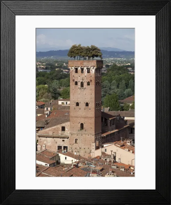 Framed Print : Torre Guinigi topped by Holm oak tree, Lucca, Tuscany, Italy, Europe Framed Print : Torre Guinigi topped by Holm oak tree, Lucca, Tuscany, Italy, Europe