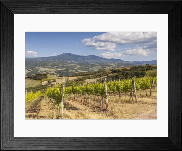 Framed Print : Vineyards near to Montalcino, Val d Orcia, UNESCO World Heritage Site, Tuscany, Italy, Europe Framed Print : Vineyards near to Montalcino, Val d Orcia, UNESCO World Heritage Site, Tuscany, Italy, Europe