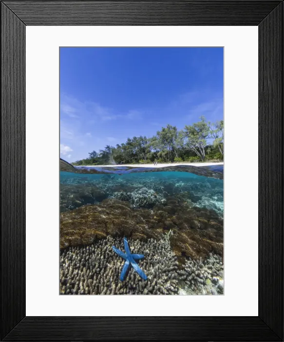 Framed Print : Above and below view of coral reef and sandy beach on Jaco Island, Timor Sea, East Timor, Southeast Asia, Asia Framed Print : Above and below view of coral reef and sandy beach on Jaco Island, Timor Sea, East Timor, Southeast Asia, Asia