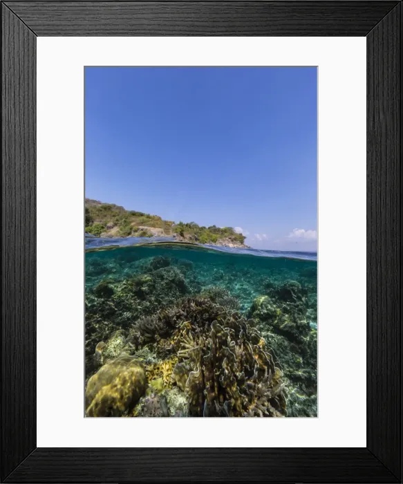 Framed Print : Underwater reef system of the Marine Reserve on Moya Island, Nusa Tenggara province, Indonesia, Southeast Asia, Asia Framed Print : Underwater reef system of the Marine Reserve on Moya Island, Nusa Tenggara province, Indonesia, Southeast Asia, Asia