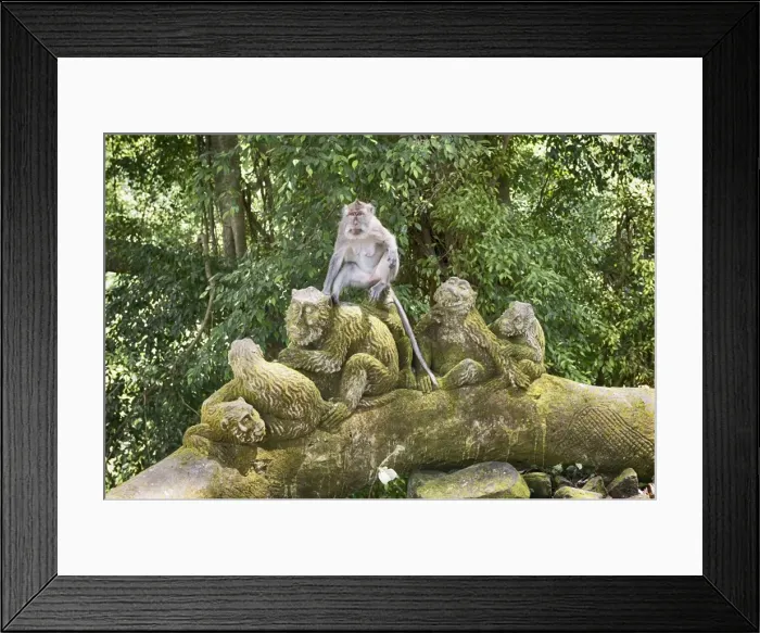 Framed Print : Sacred Monkey Forest, Ubud, Bali, Indonesia, Southeast Asia, Asia Framed Print : Sacred Monkey Forest, Ubud, Bali, Indonesia, Southeast Asia, Asia